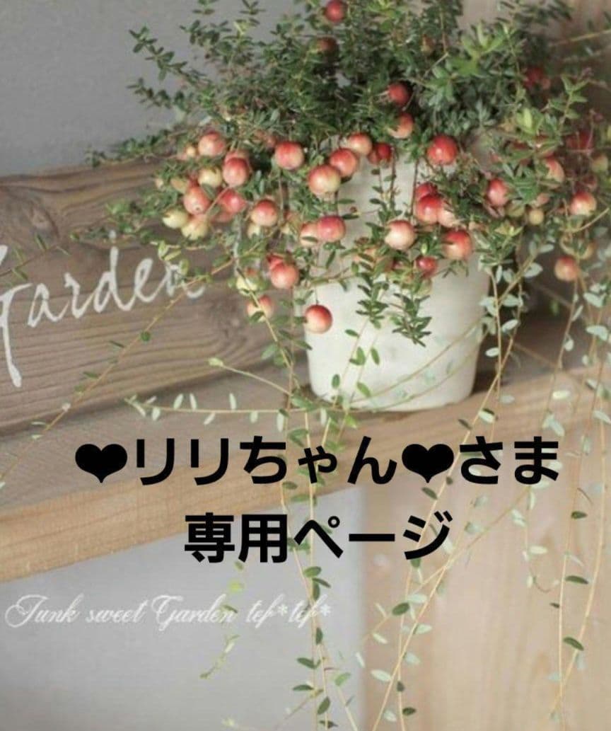 ❤︎リリちゃん❤︎ページ•*¨*•.¸♬︎
