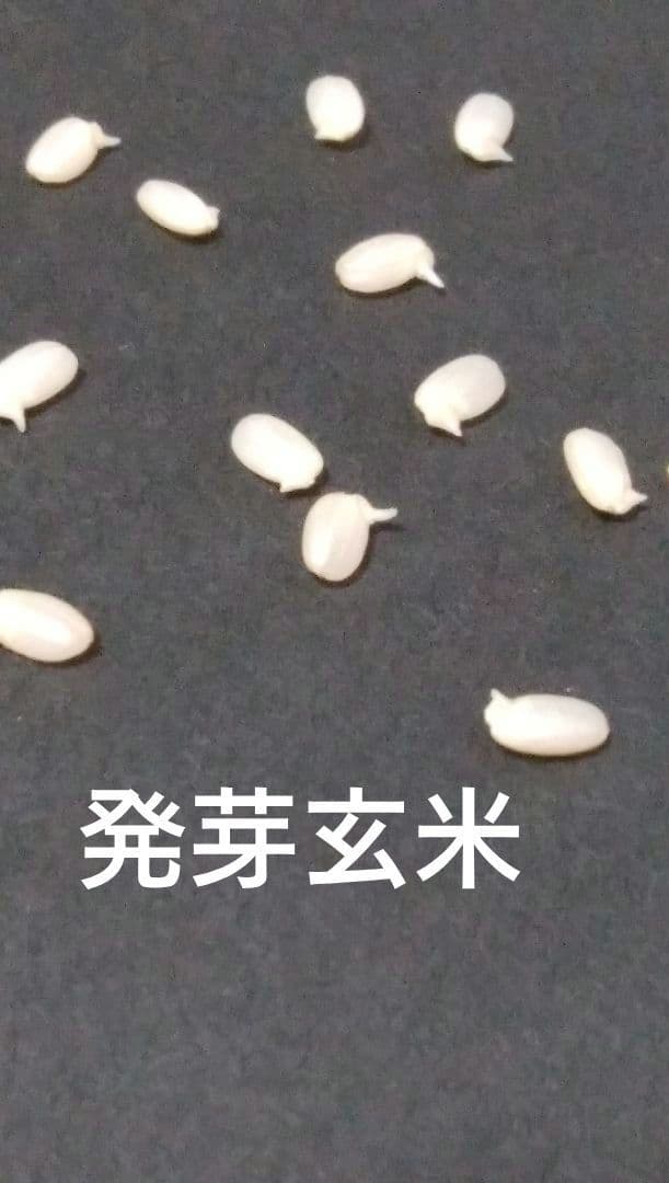 7年　秋田県産　あきたこまち　玄米　10キロ　【低農薬　低化学肥料】