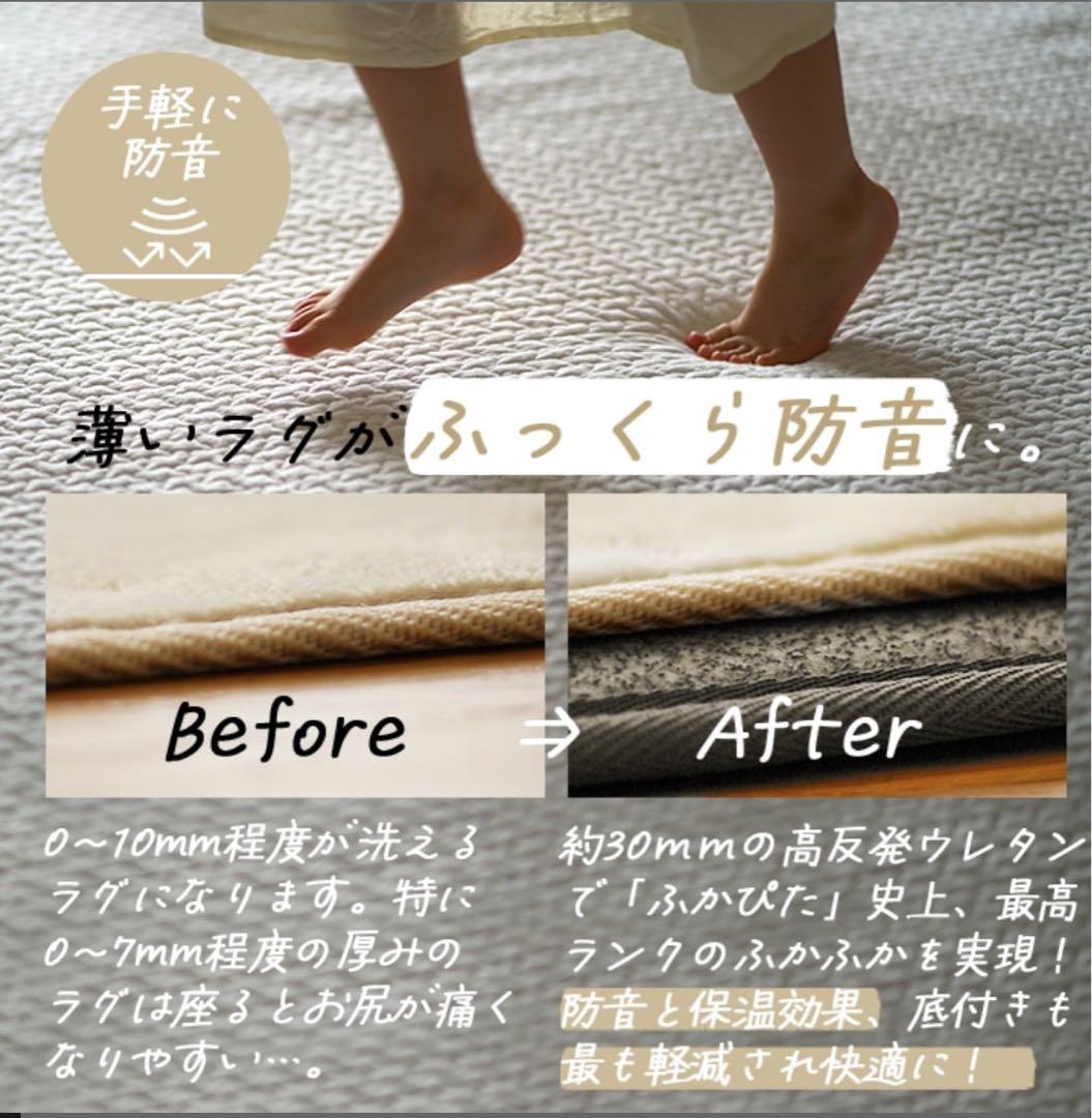 下敷き専用 ラグ 2畳　ふかピタ高反発PREMIUM [極厚]