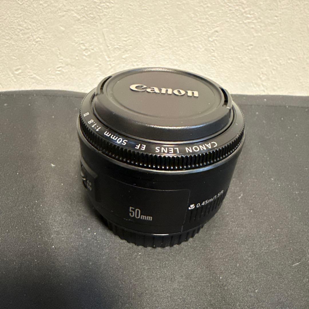 Canon EOS5DMarkⅣ