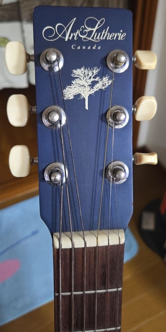 てぃーだマンArt&Lutherie AMI CEDAR BLUE ギター