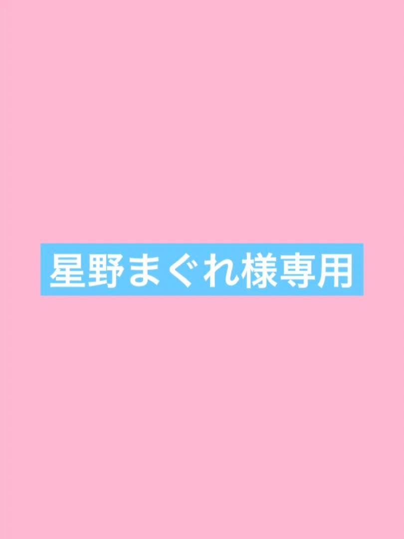 星野まぐれ オーダーページ