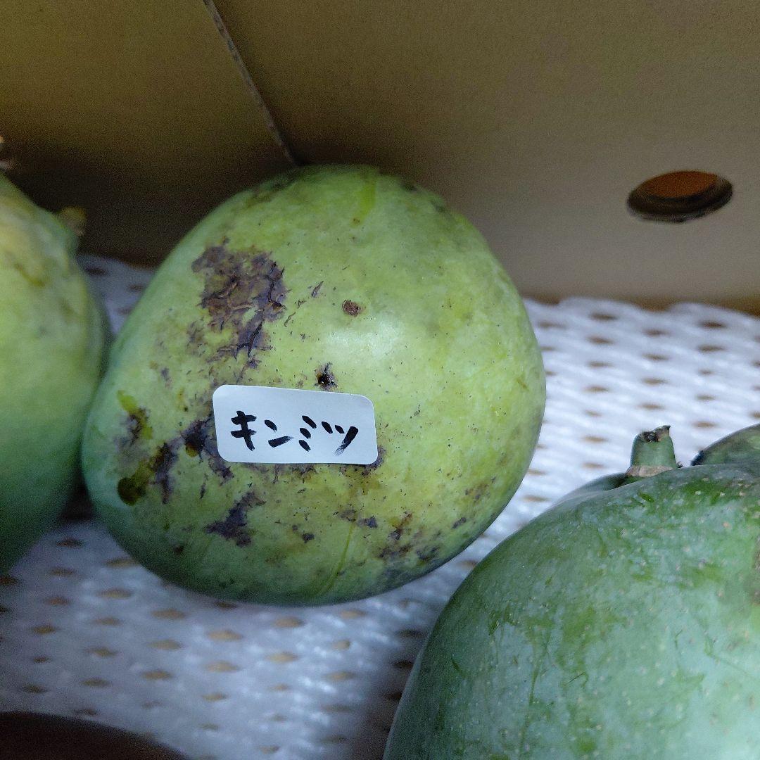追熟型①と②　色々マンゴー食べ比べセット