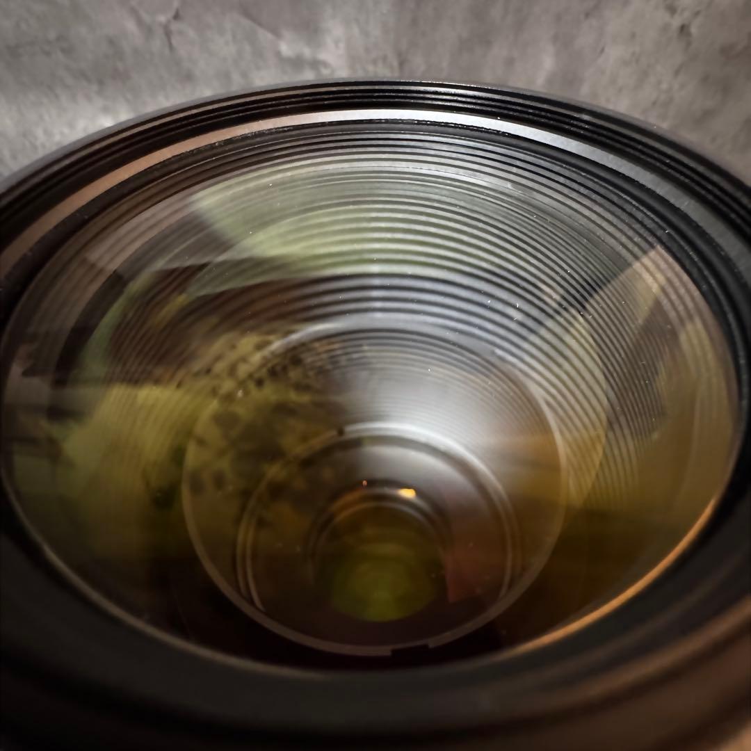 TAMRON 150-600 1型