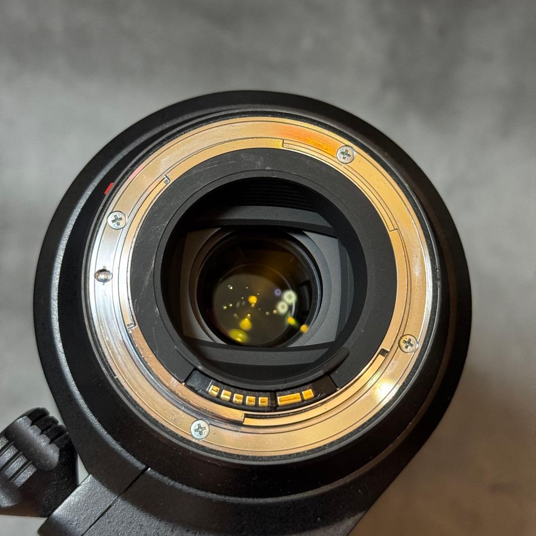 TAMRON 150-600 1型