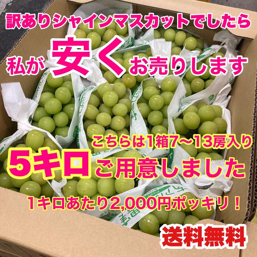 1キロあたり2,000円ポッキリ訳ありシャインマスカットは私がお安く売ります。