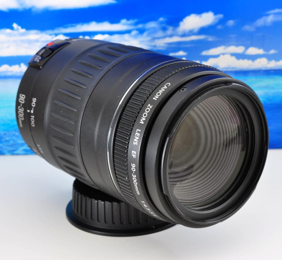 レンズが残す絆！ Canon キヤノン EF90-300mm 望遠レンズ#1